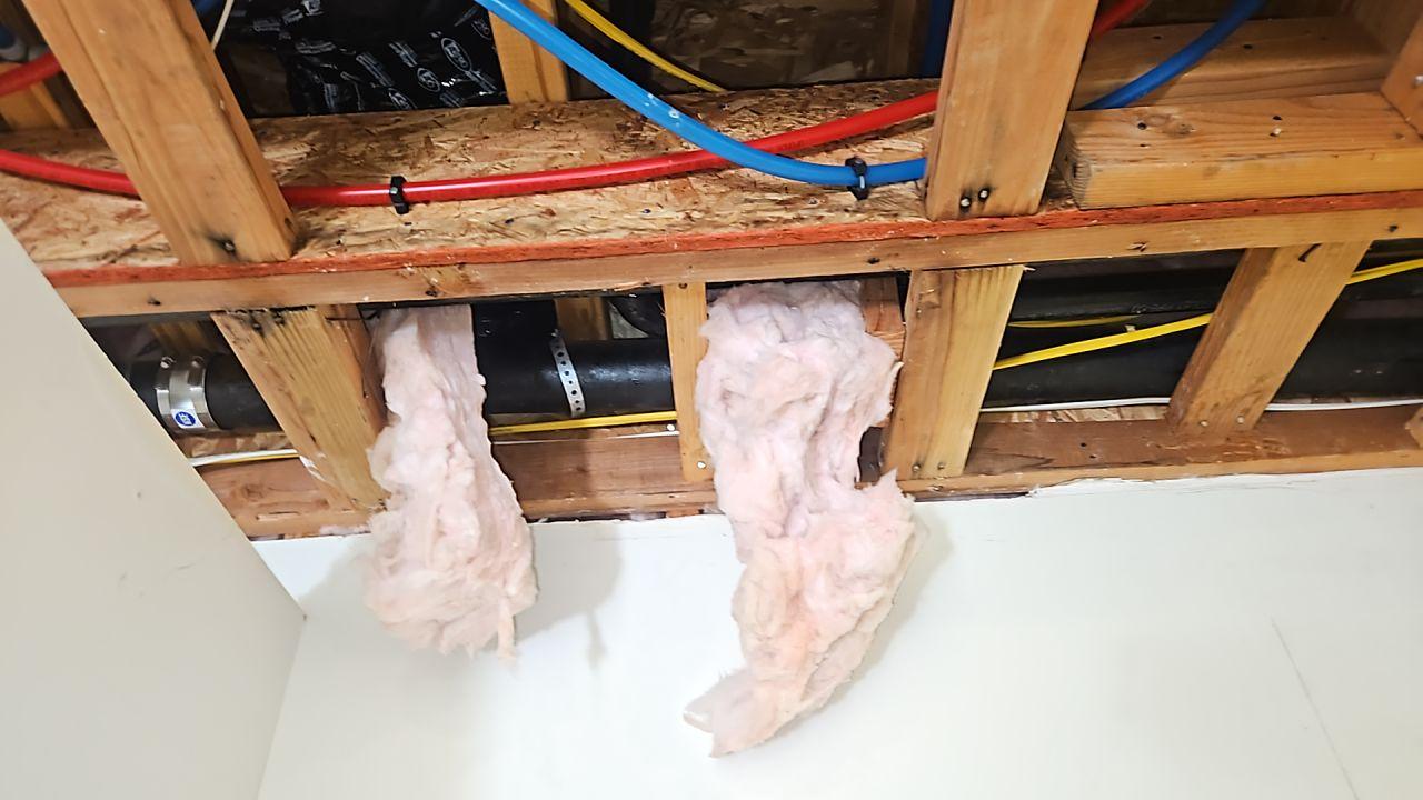 Exposed ceiling joists and plumbing in the kitchen, revealing structural water damage and insulation saturation from a shower leak, critical for proper water mitigation and plumbing leak repair during restoration.