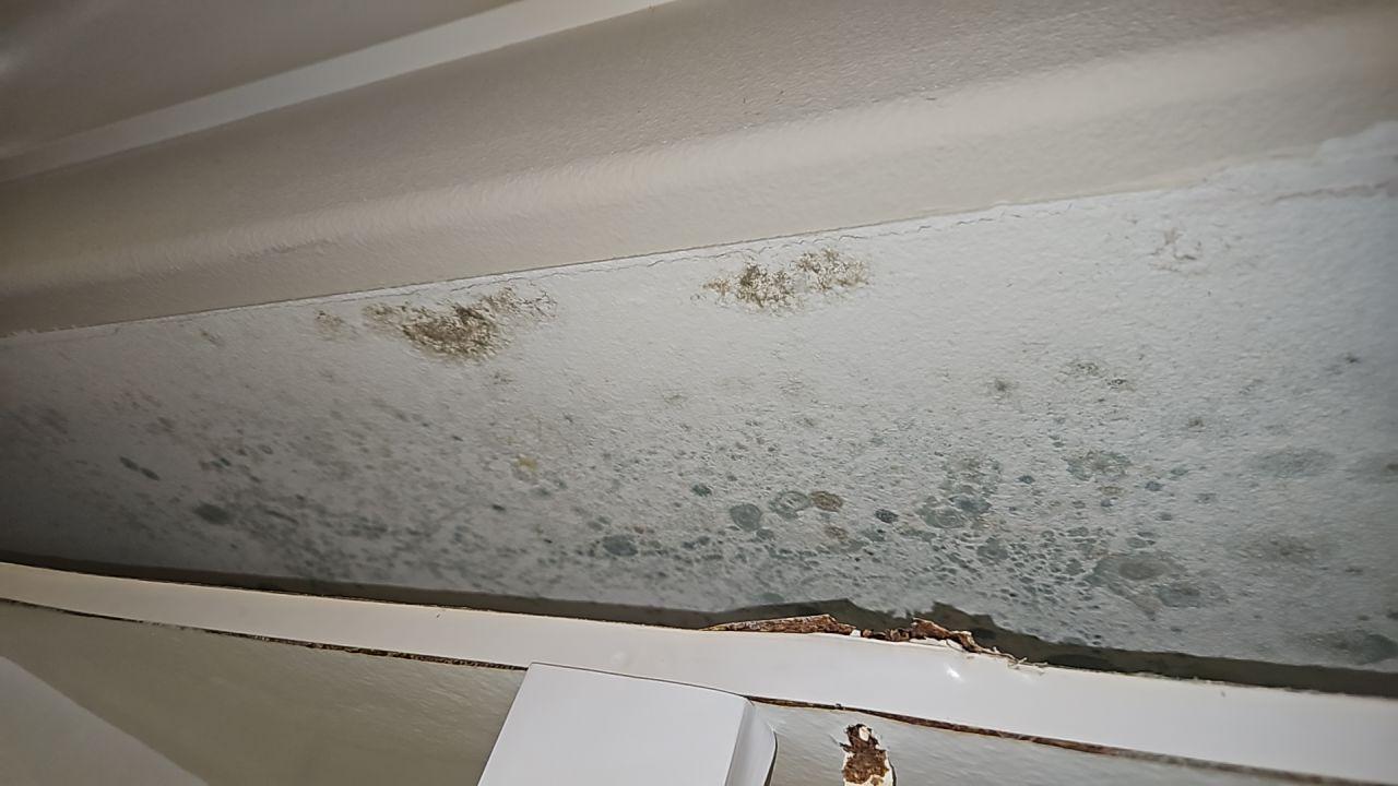 Visible mold growth and saturation on the underside of a kitchen cabinet/ceiling area caused by water damage from a plumbing leak, confirming the need for immediate water mitigation and mold remediation services.