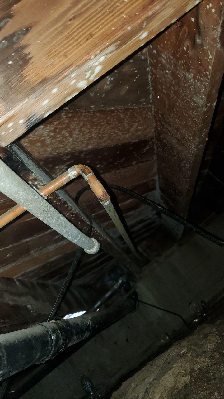Image of crawl space water damage showing active mold growth and water intrusion on wooden joists, highlighting the need for urgent water mitigation and professional mold remediation services.