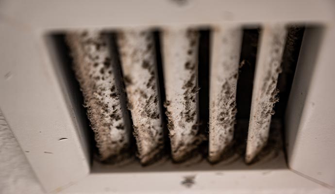 Mold in HVAC