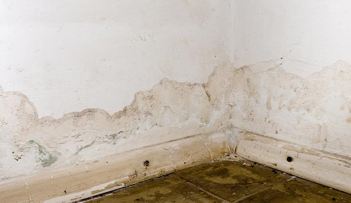 Mold from water