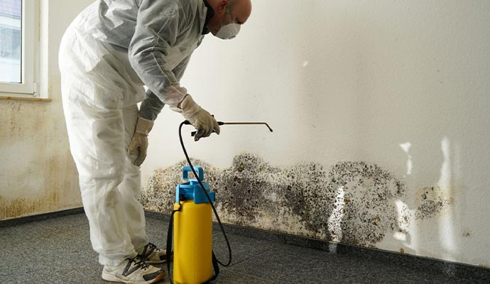 Residential area mold Remediation Services