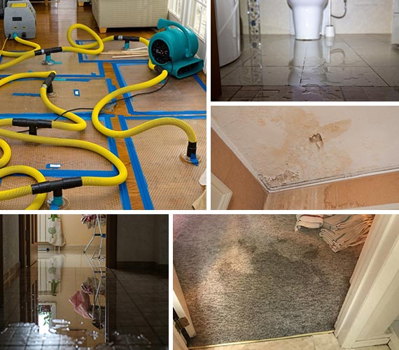 Collage of water damage restoration, leaky toilet, leaky roof, water damage and damaged carpet Collage of water damage restoration, leaky toilet, leaky roof, water damage and damaged carpet