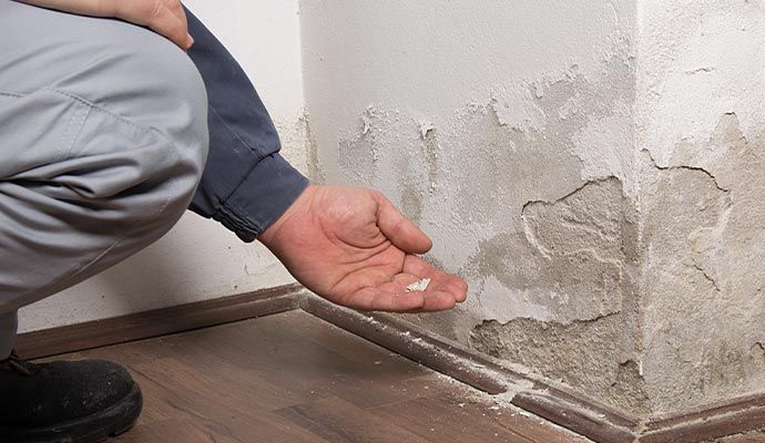 Person inspecting water damaged wall