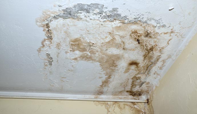Visible water stain on the ceiling