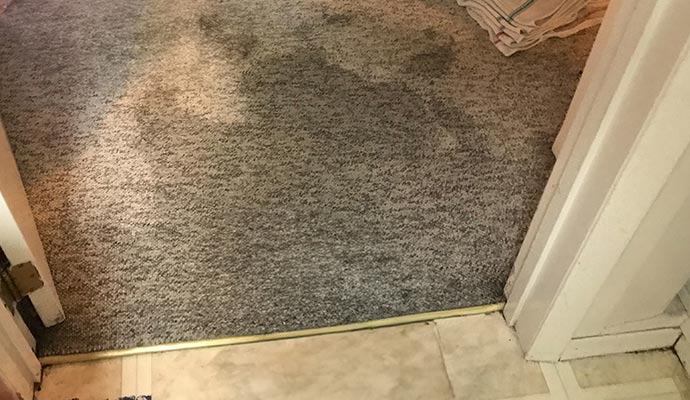 Carpet Water Damage Restoration in Orange County by Restotech