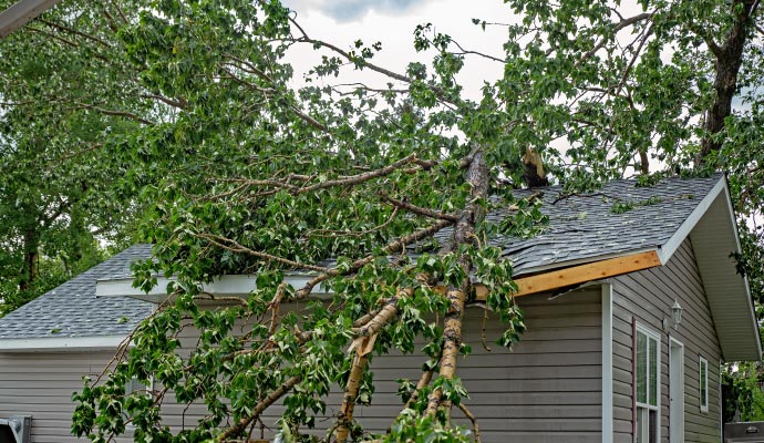 Wind damaged house roof