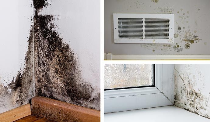Mold Remediation — DKI Restotech