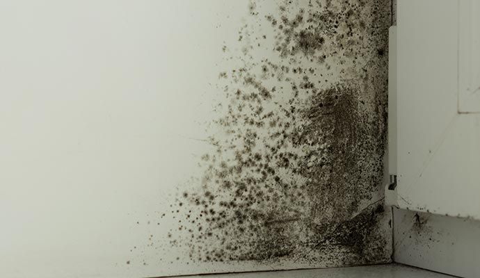 Plumbing Leak Damage Restoration in Orange County — DKI Restotech