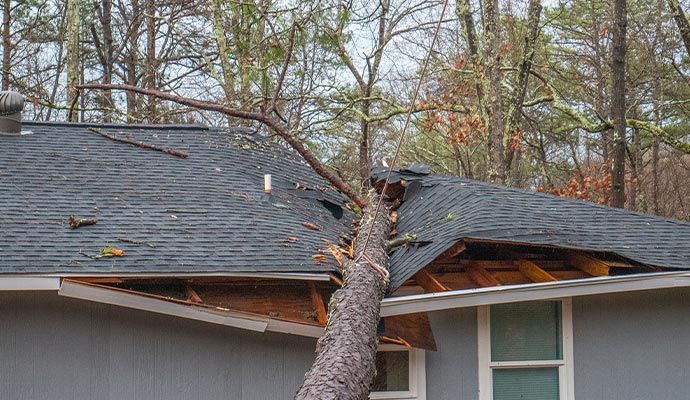 Water Damage — DKI Restotech